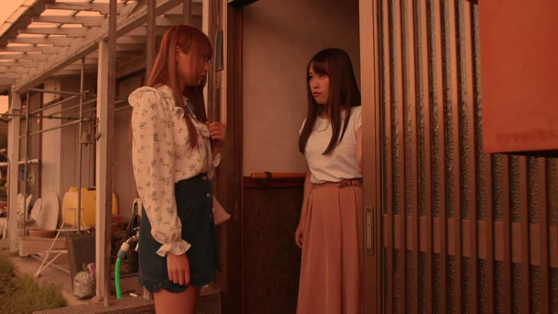 Sample 20