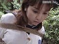 Sample 6