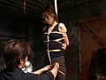 Sample 4