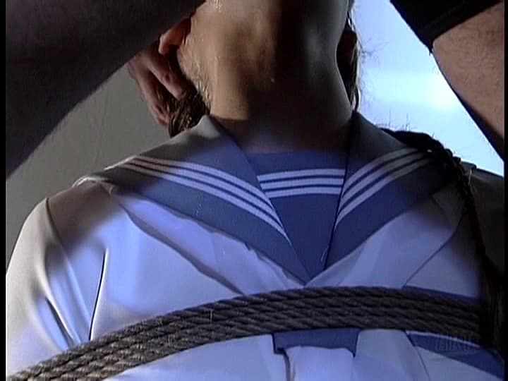 Sample 12