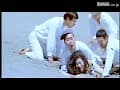 Sample 37