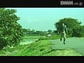 Sample 37