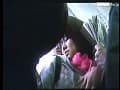 Sample 13