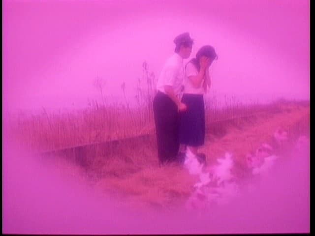 Sample 8