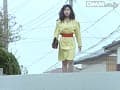Sample 17