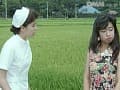 Sample 34
