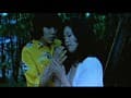 Sample 35