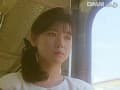 Sample 23