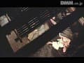 Sample 6
