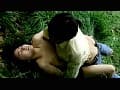 Sample 40
