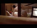 Sample 28