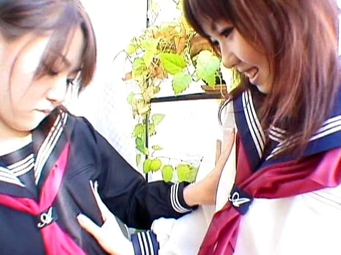 Sample 4