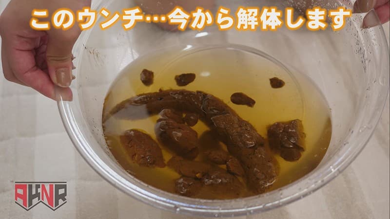 Sample 4