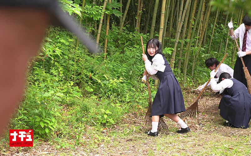 Sample 5
