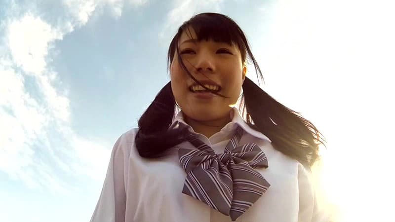 Sample 12