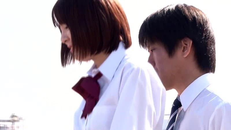 Sample 5