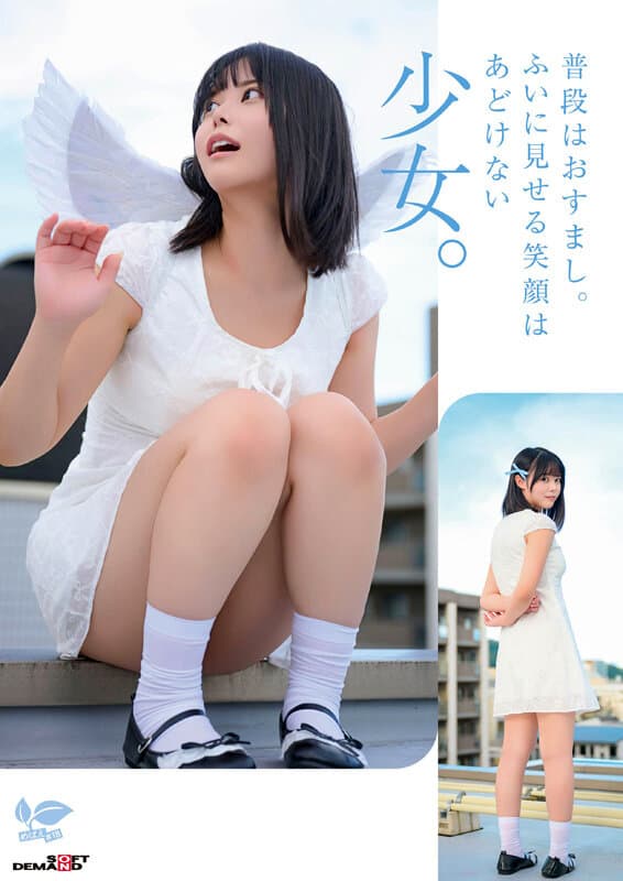 Sample 4