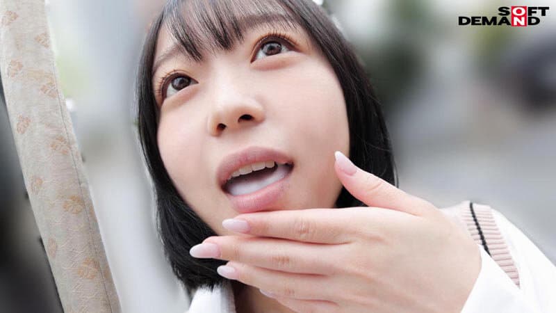 Sample 11