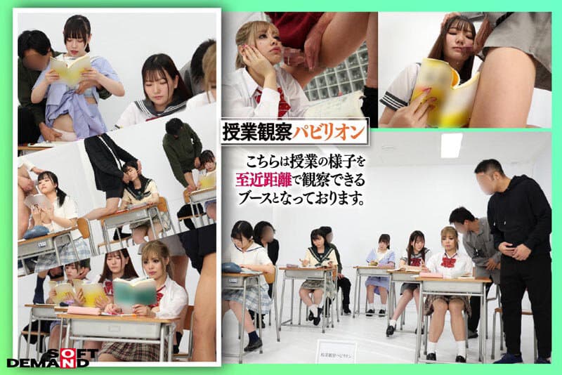 Sample 5