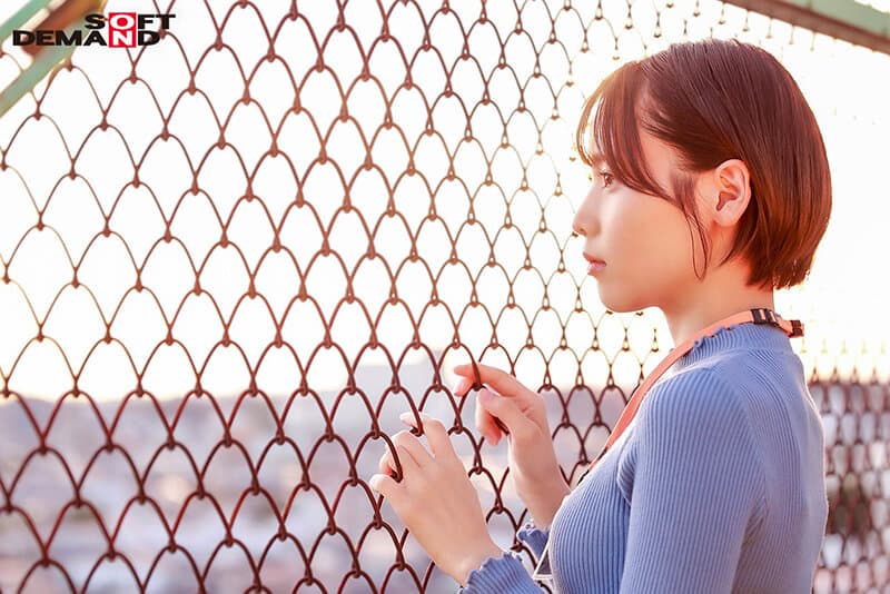 Sample 6