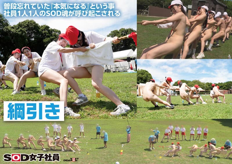Sample 5