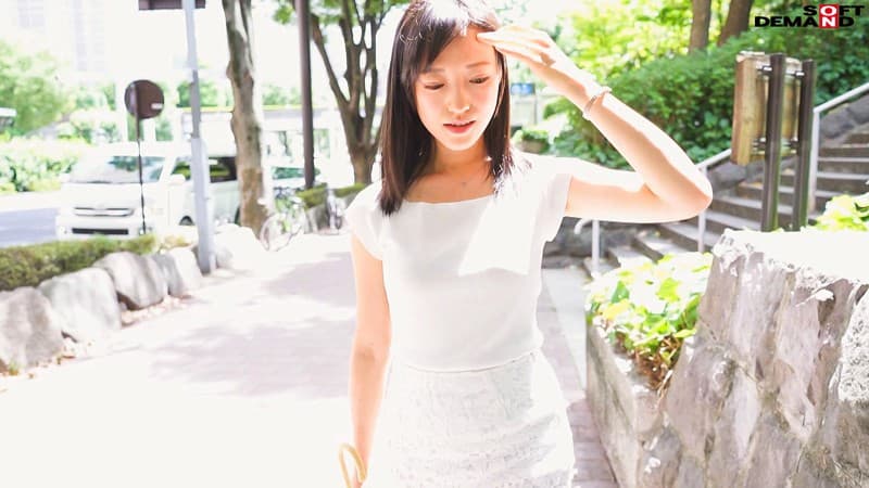 Sample 13