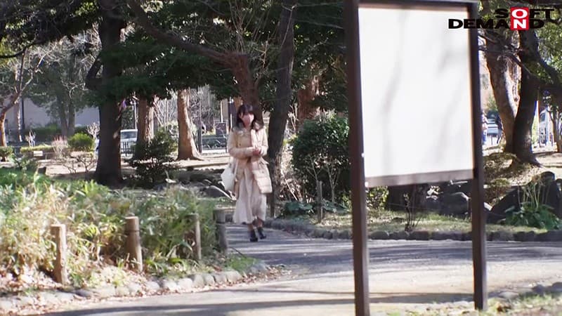 Sample 3