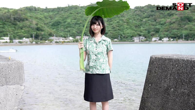 Sample 4