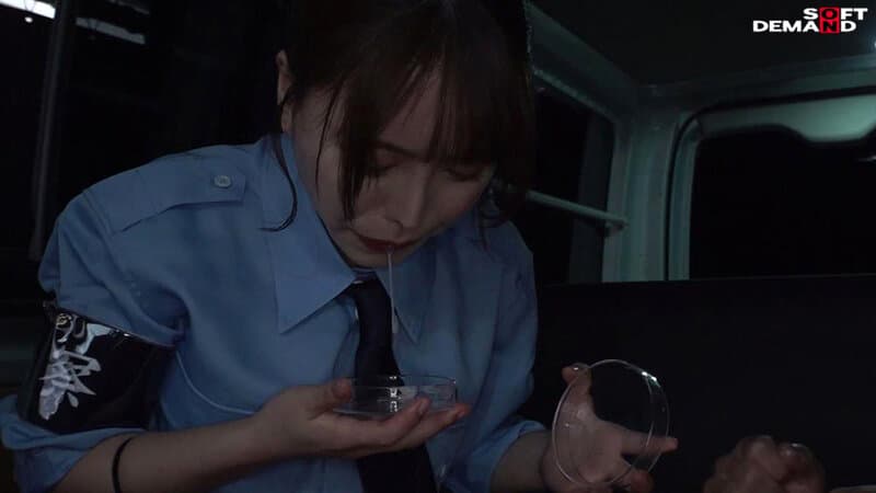 Sample 11