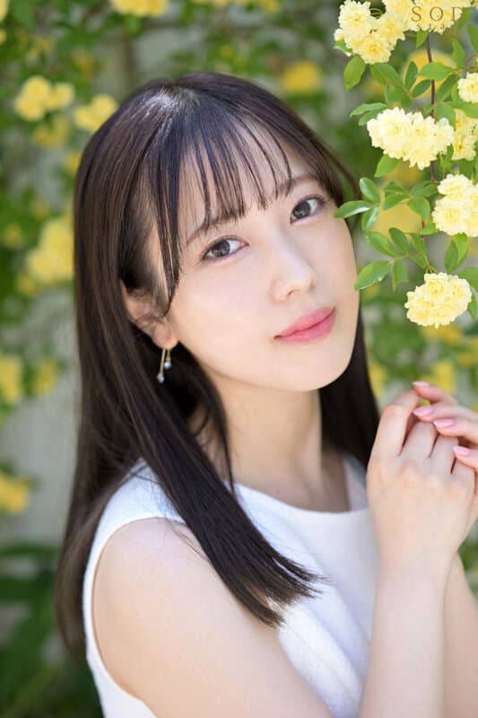 Sample 12