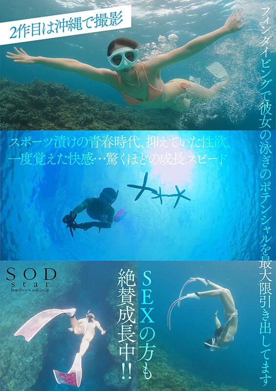 Sample 13