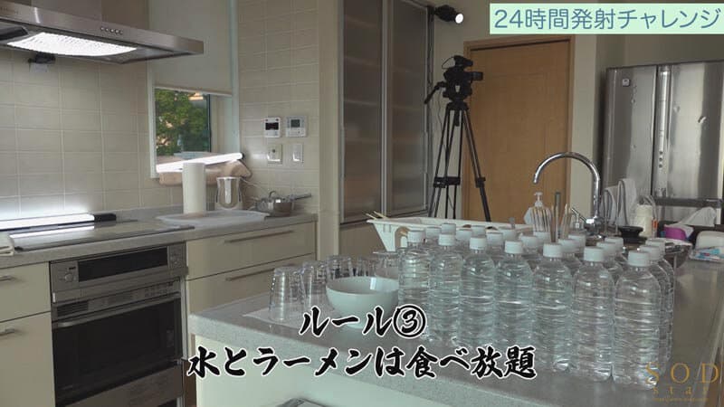 Sample 4