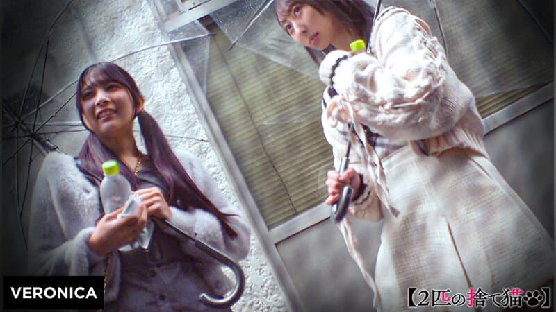Sample 2