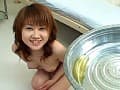 Sample 4