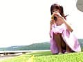 Sample 33