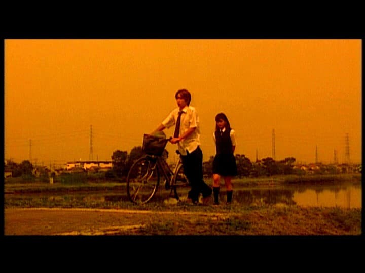 Sample 7
