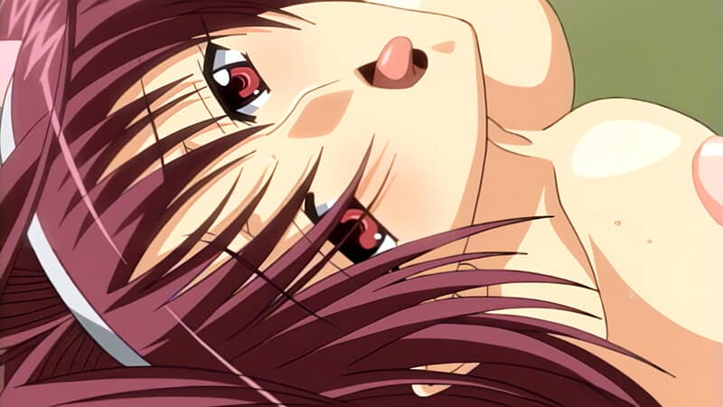 Sample 15