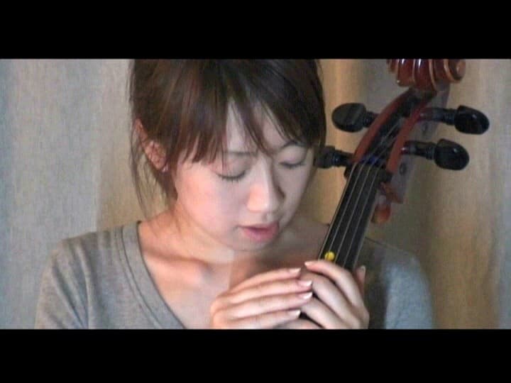 Sample 13