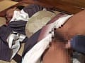 Sample 11