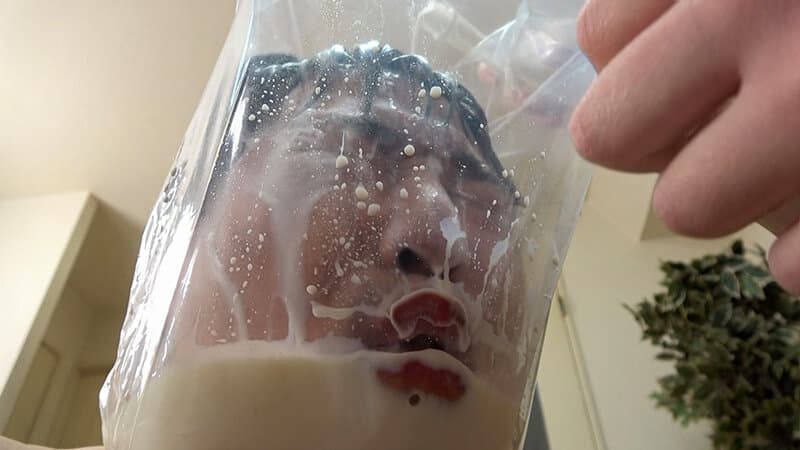 Sample 13