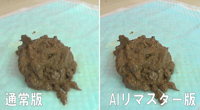 Sample 4