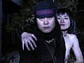 Sample 33