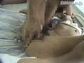 Sample 14