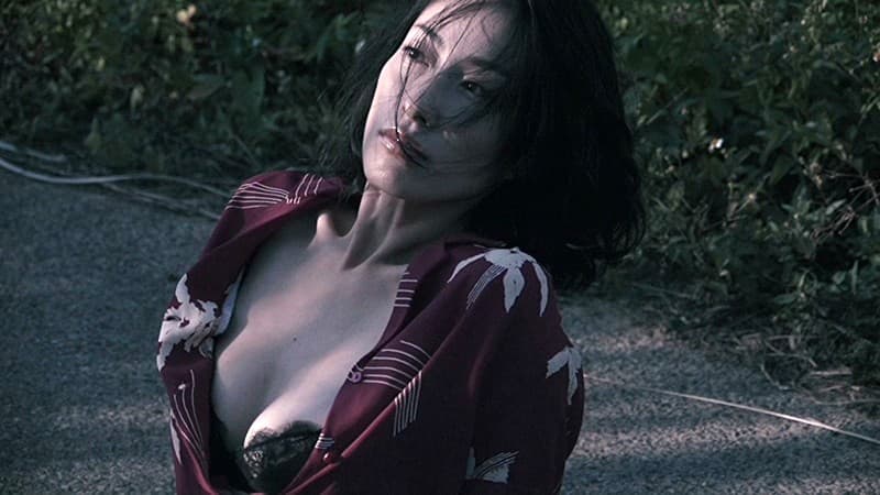 Sample 12