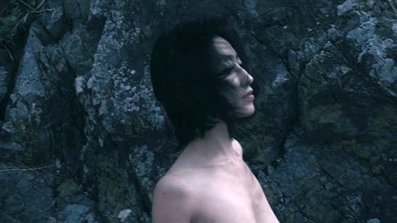 Sample 5