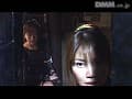 Sample 23