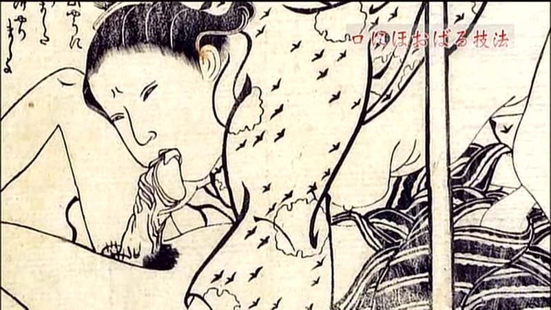 Sample 13