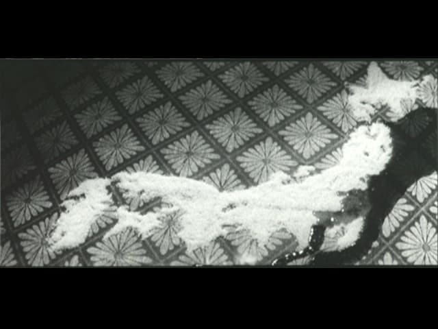 Sample 9