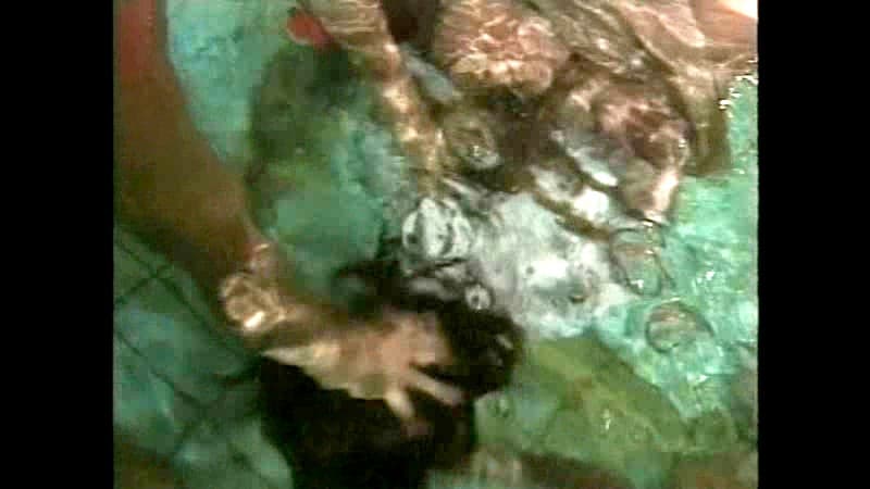 Sample 7