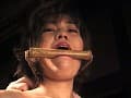 Sample 11